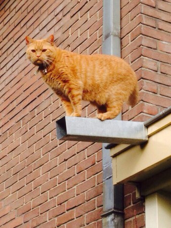 Rakker al weer 3 jaartjes jong...wat een plaatje zeg!!!!!